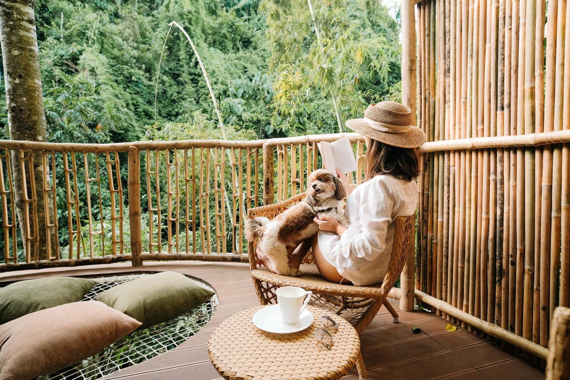Вилла Treehouse De Valentine Balamban Экстерьер фото
